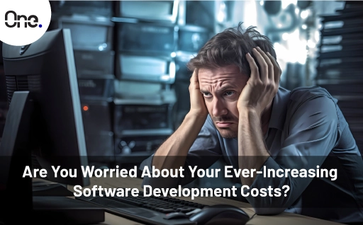 Are You Worried About Your Ever-Increasing Software Development Costs?  