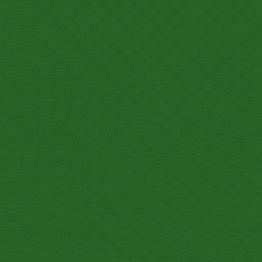 Animated Services Post-4