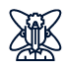 Onshore AI Talent